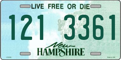 NH license plate 1213361