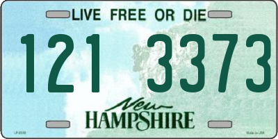 NH license plate 1213373