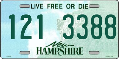 NH license plate 1213388