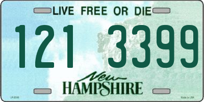 NH license plate 1213399