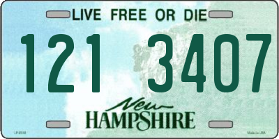 NH license plate 1213407