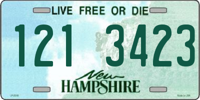 NH license plate 1213423