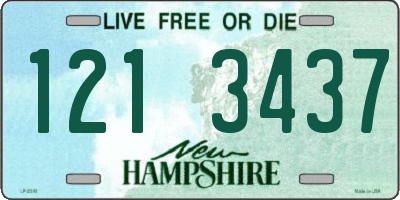 NH license plate 1213437