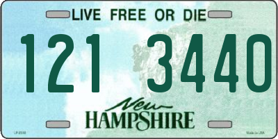 NH license plate 1213440
