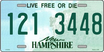 NH license plate 1213448