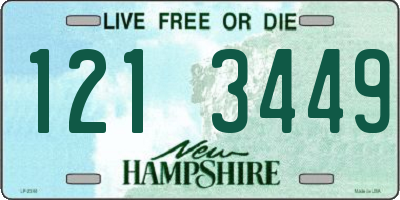 NH license plate 1213449