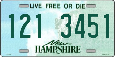NH license plate 1213451