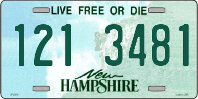 NH license plate 1213481