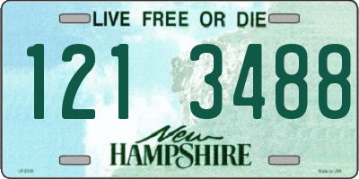 NH license plate 1213488