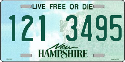 NH license plate 1213495