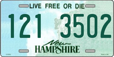 NH license plate 1213502