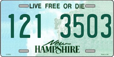 NH license plate 1213503