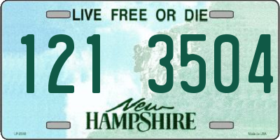 NH license plate 1213504