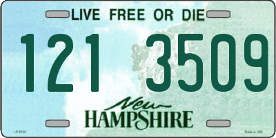 NH license plate 1213509