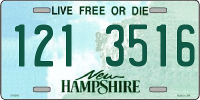 NH license plate 1213516
