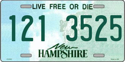 NH license plate 1213525