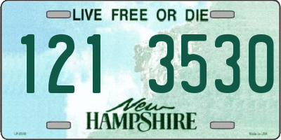 NH license plate 1213530
