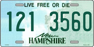 NH license plate 1213560