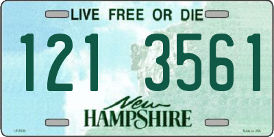 NH license plate 1213561