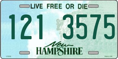 NH license plate 1213575