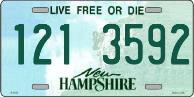NH license plate 1213592
