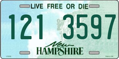 NH license plate 1213597