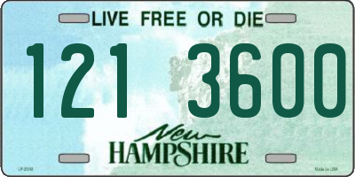 NH license plate 1213600