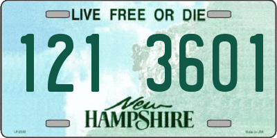 NH license plate 1213601
