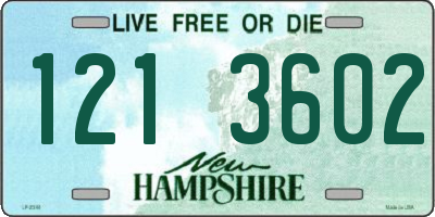 NH license plate 1213602