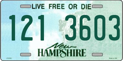 NH license plate 1213603