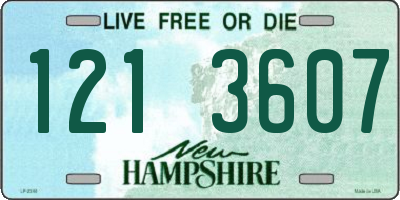 NH license plate 1213607
