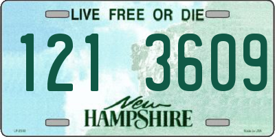 NH license plate 1213609