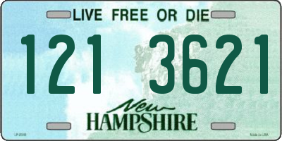 NH license plate 1213621