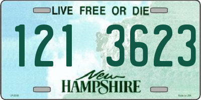 NH license plate 1213623