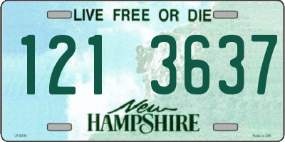NH license plate 1213637