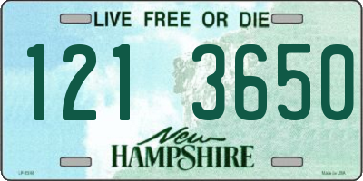NH license plate 1213650