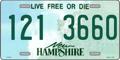 NH license plate 1213660