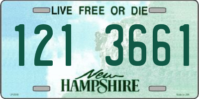 NH license plate 1213661