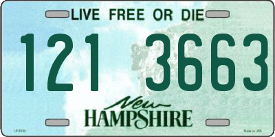 NH license plate 1213663