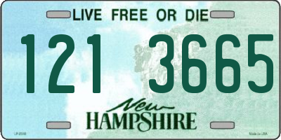 NH license plate 1213665