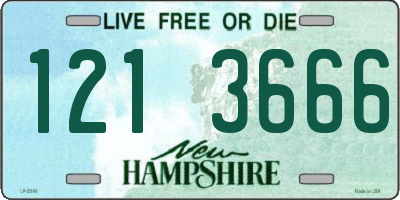 NH license plate 1213666