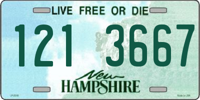 NH license plate 1213667