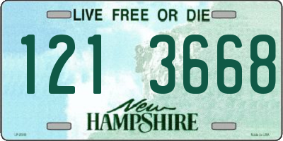 NH license plate 1213668