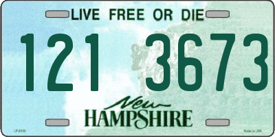 NH license plate 1213673