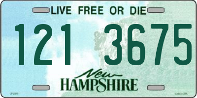 NH license plate 1213675