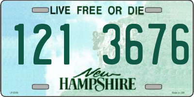 NH license plate 1213676