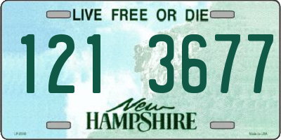 NH license plate 1213677