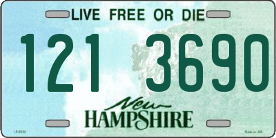 NH license plate 1213690