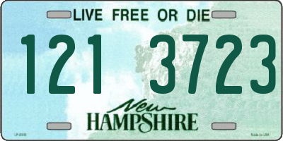 NH license plate 1213723