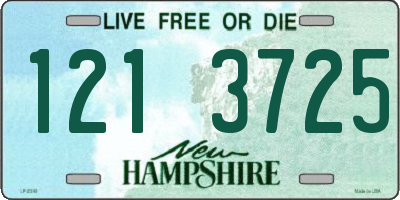 NH license plate 1213725